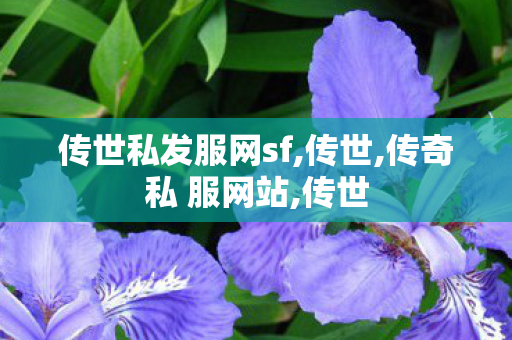 传世私发服网sf,传世,传奇私 服网站,传世