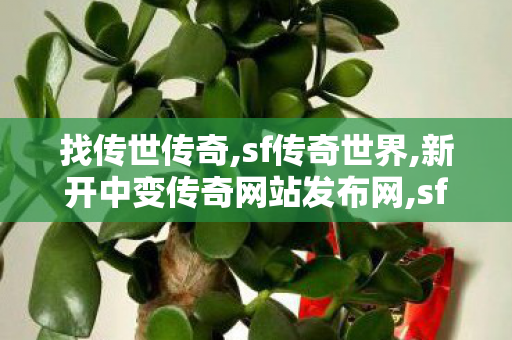 找传世传奇,sf传奇世界,新开中变传奇网站发布网,sf传奇世界