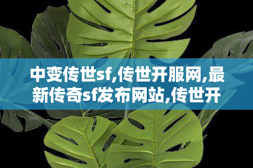 中变传世sf,传世开服网,最新传奇sf发布网站,传世开服网
