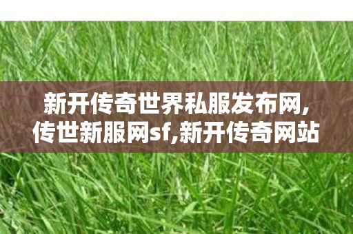 新开传奇世界私服发布网,传世新服网sf,新开传奇网站发布网,传世新服网sf