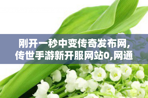 刚开一秒中变传奇发布网,传世手游新开服网站0,网通私服发布网,传世手游新开服网站0