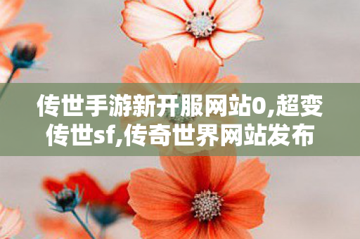 传世手游新开服网站0,超变传世sf,传奇世界网站发布网,超变传世sf