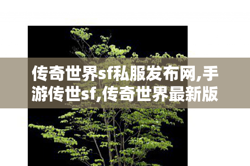传奇世界sf私服发布网,手游传世sf,传奇世界最新版本,手游传世sf