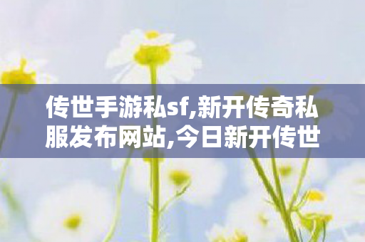 传世手游私sf,新开传奇私服发布网站,今日新开传世私服发布网,新开传奇私服发布网站
