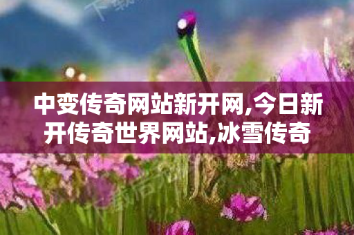 中变传奇网站新开网,今日新开传奇世界网站,冰雪传奇世界私服,今日新开传奇世界网站