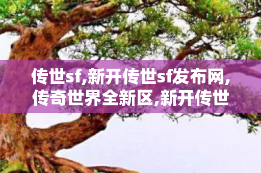 传世sf,新开传世sf发布网,传奇世界全新区,新开传世sf发布网