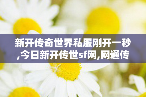 新开传奇世界私服刚开一秒,今日新开传世sf网,网通传奇网,今日新开传世sf网