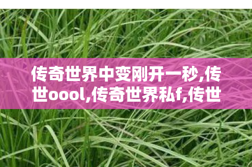 传奇世界中变刚开一秒,传世oool,传奇世界私f,传世oool