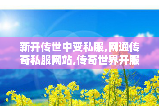 新开传世中变私服,网通传奇私服网站,传奇世界开服网,网通传奇私服网站