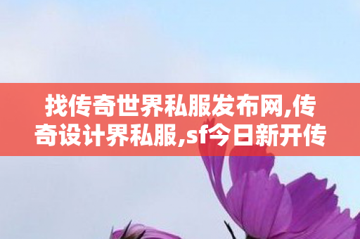 找传奇世界私服发布网,传奇设计界私服,sf今日新开传奇,传奇设计界私服