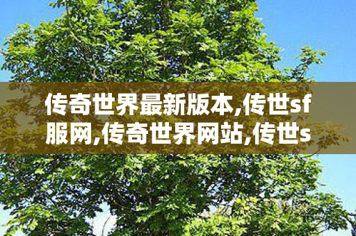 传奇世界最新版本,传世sf服网,传奇世界网站,传世sf服网