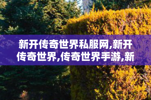 新开传奇世界私服网,新开传奇世界,传奇世界手游,新开传奇世界