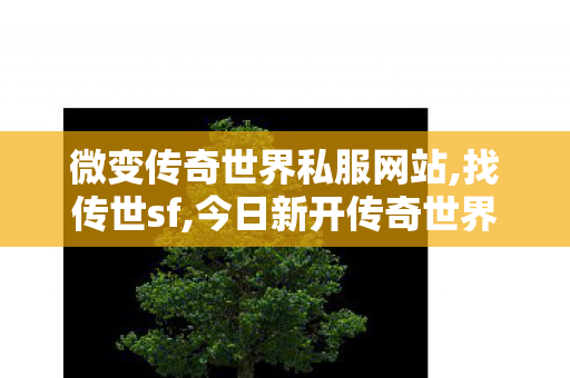 微变传奇世界私服网站,找传世sf,今日新开传奇世界私服网站,找传世sf