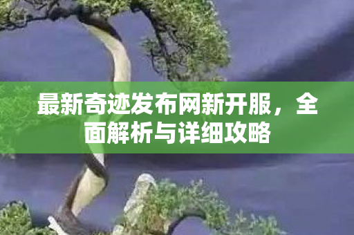最新奇迹发布网新开服，全面解析与详细攻略