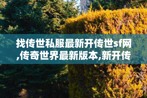 找传世私服最新开传世sf网,传奇世界最新版本,新开传奇世界私服网站,传奇世界最新版本