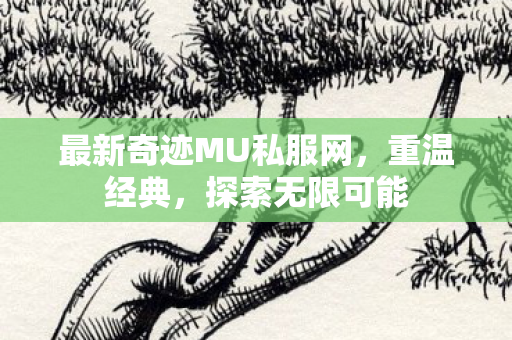 最新奇迹MU私服网，重温经典，探索无限可能