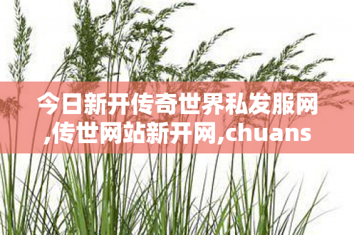 今日新开传奇世界私发服网,传世网站新开网,chuanshi,传世网站新开网