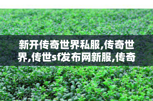 新开传奇世界私服,传奇世界,传世sf发布网新服,传奇世界