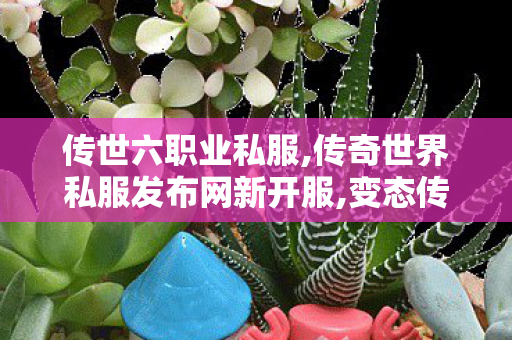 传世六职业私服,传奇世界私服发布网新开服,变态传世sf发布网,传奇世界私服发布网新开服