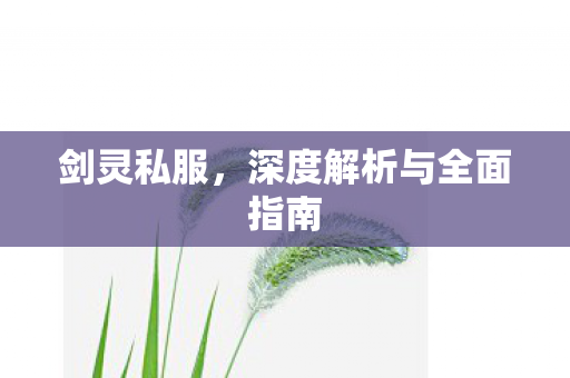 剑灵私服，深度解析与全面指南