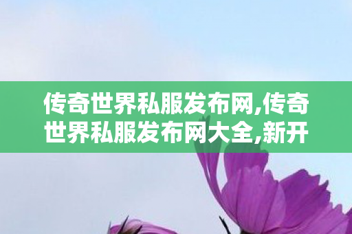 传奇世界私服发布网,传奇世界私服发布网大全,新开传奇私服发布网站,传奇世界私服发布网大全