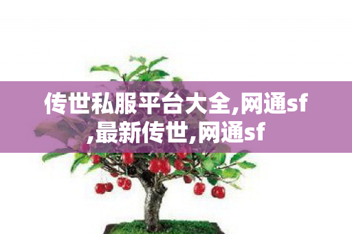 传世私服平台大全,网通sf,最新传世,网通sf