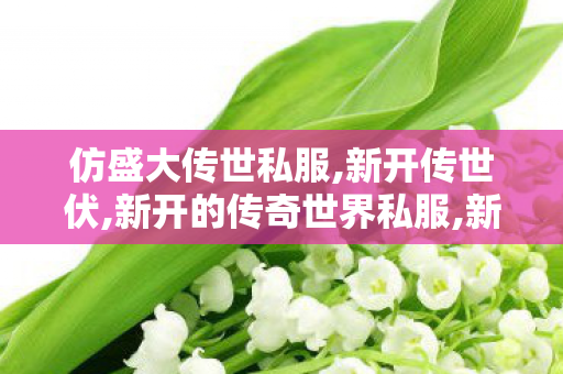 仿盛大传世私服,新开传世伏,新开的传奇世界私服,新开传世伏