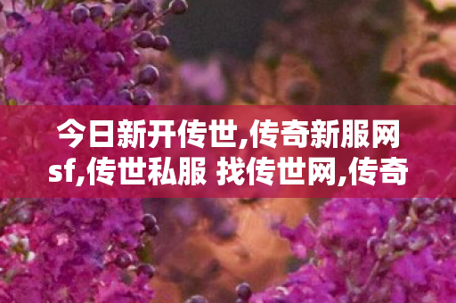 今日新开传世,传奇新服网sf,传世私服 找传世网,传奇新服网sf