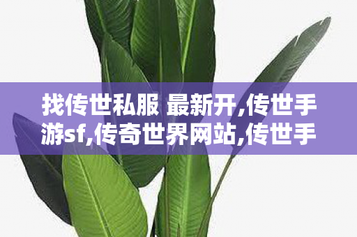 找传世私服 最新开,传世手游sf,传奇世界网站,传世手游sf