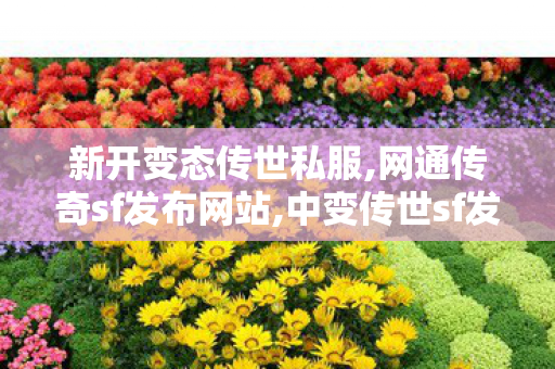 新开变态传世私服,网通传奇sf发布网站,中变传世sf发布网站,网通传奇sf发布网站