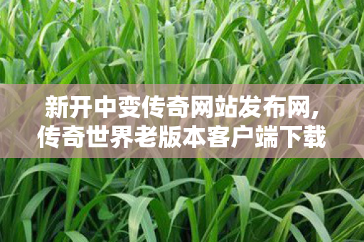 新开中变传奇网站发布网,传奇世界老版本客户端下载,网通传奇sf发布网站,传奇世界老版本客户端下载