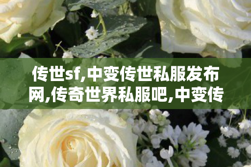传世sf,中变传世私服发布网,传奇世界私服吧,中变传世私服发布网