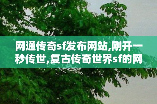 网通传奇sf发布网站,刚开一秒传世,复古传奇世界sf的网站,刚开一秒传世