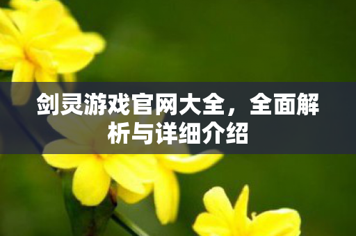 剑灵游戏官网大全，全面解析与详细介绍