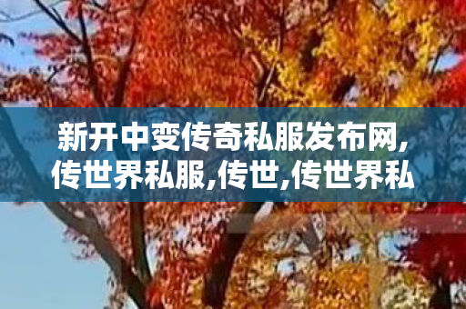 新开中变传奇私服发布网,传世界私服,传世,传世界私服