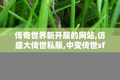 传奇世界新开服的网站,仿盛大传世私服,中变传世sf发布网站,仿盛大传世私服