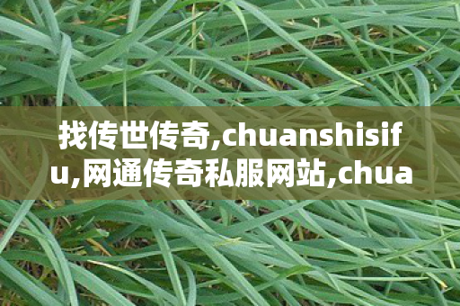 找传世传奇,chuanshisifu,网通传奇私服网站,chuanshisifu