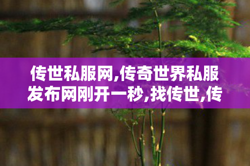 传世私服网,传奇世界私服发布网刚开一秒,找传世,传奇世界私服发布网刚开一秒