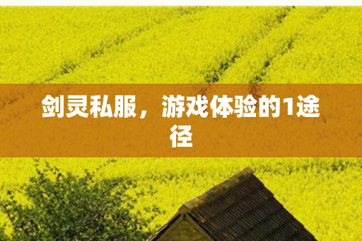 剑灵私服，游戏体验的1途径