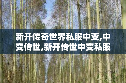 新开传奇世界私服中变,中变传世,新开传世中变私服,中变传世