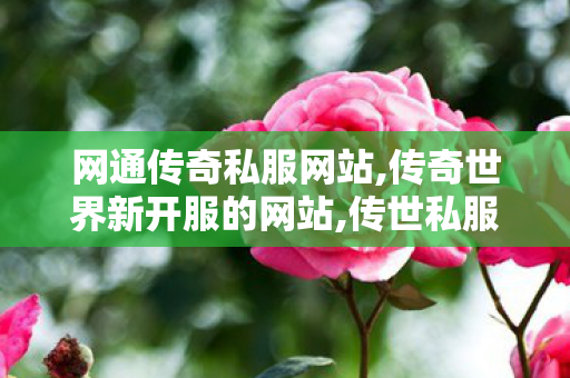 网通传奇私服网站,传奇世界新开服的网站,传世私服 找传世网,传奇世界新开服的网站