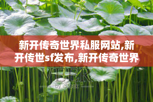新开传奇世界私服网站,新开传世sf发布,新开传奇世界sf发布网站,新开传世sf发布