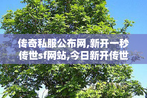 传奇私服公布网,新开一秒传世sf网站,今日新开传世私服发布网,新开一秒传世sf网站