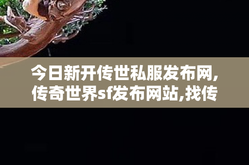 今日新开传世私服发布网,传奇世界sf发布网站,找传世sf,传奇世界sf发布网站