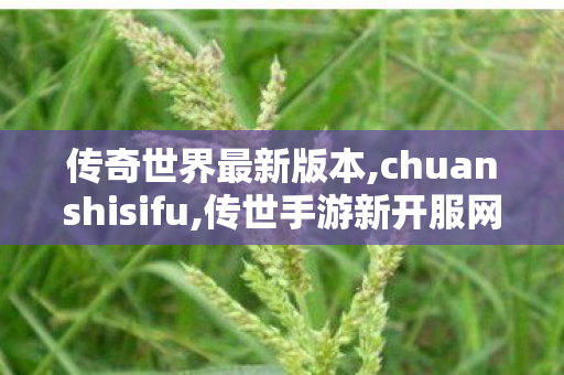 传奇世界最新版本,chuanshisifu,传世手游新开服网站,chuanshisifu