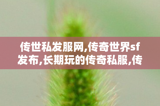 传世私发服网,传奇世界sf发布,长期玩的传奇私服,传奇世界sf发布