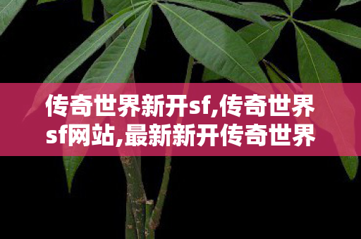 传奇世界新开sf,传奇世界sf网站,最新新开传奇世界sf,传奇世界sf网站