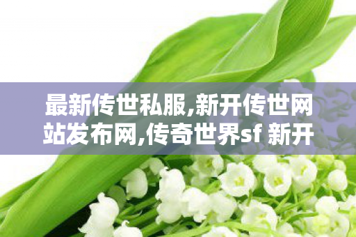 最新传世私服,新开传世网站发布网,传奇世界sf 新开网站,新开传世网站发布网
