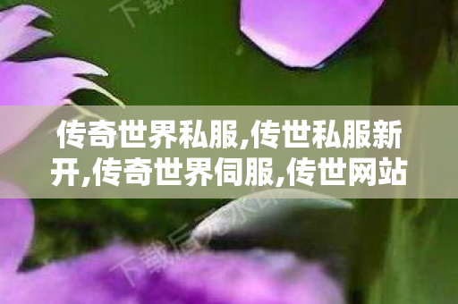 传奇世界私服,传世私服新开,传奇世界伺服,传世网站发布网,传奇世界伺服