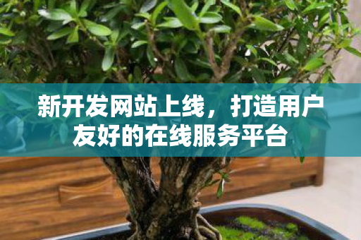 新开发网站上线，打造用户友好的在线服务平台